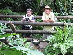 061 Kuranda Butterfly Sanctuary